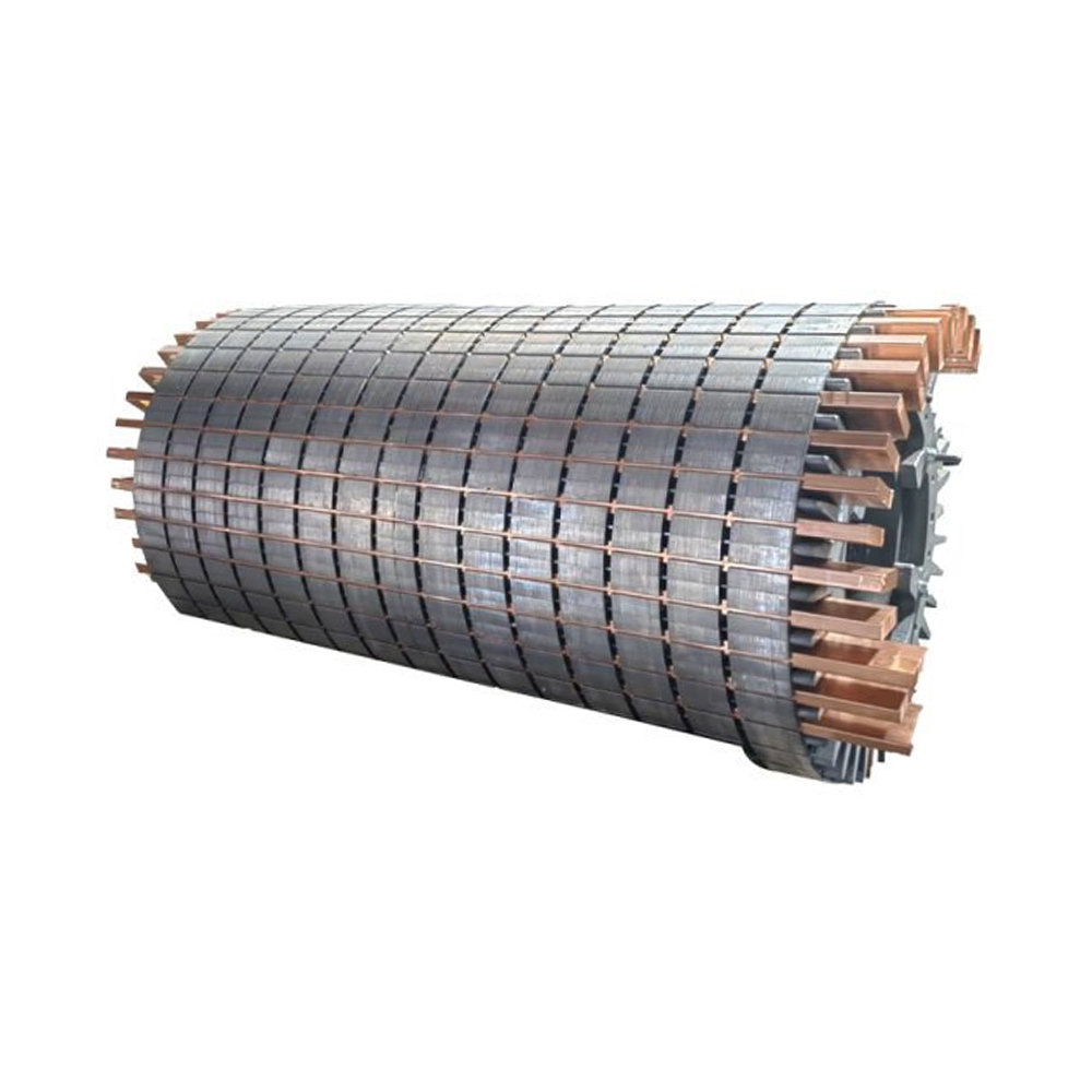 High voltage motor